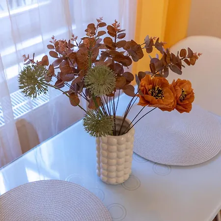 Apartament Harmony & Cute - *